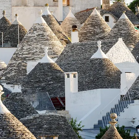 Opera * Gravina in Puglia